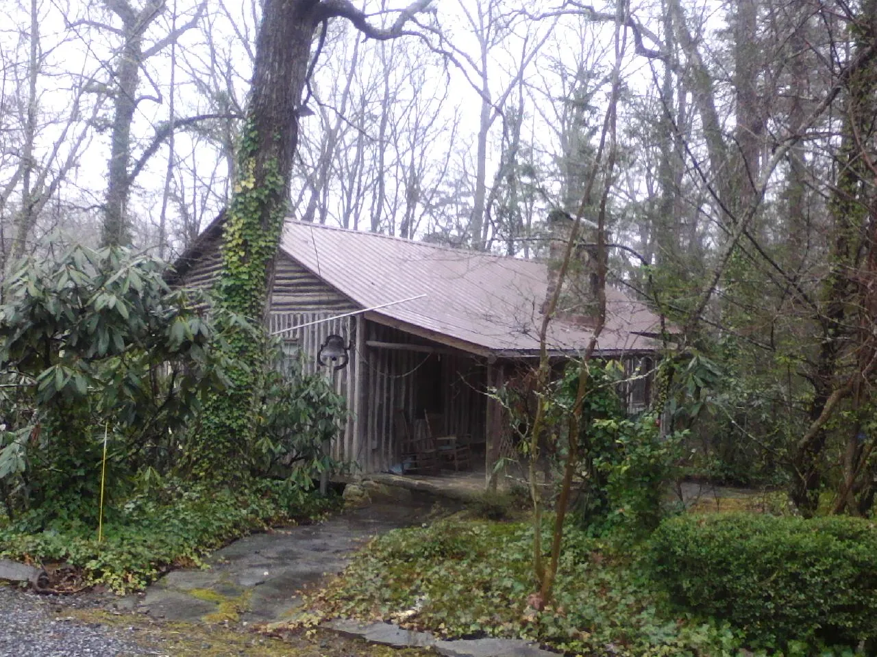 Weathered metal roof on an old board sided cabin in the woods in Saint Helena