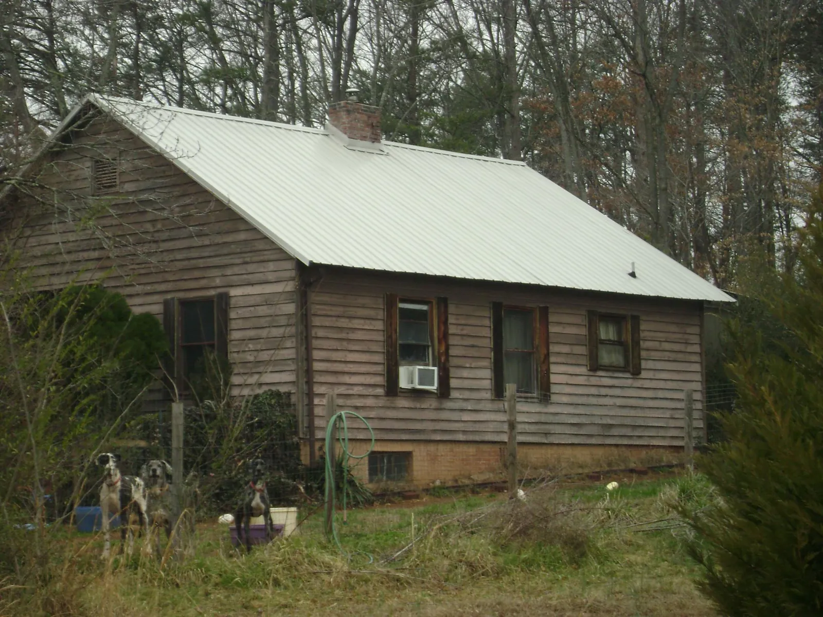 White metal roof on an old wood sided farmhouse, from a Metal Roof Installation job in Saint Helena